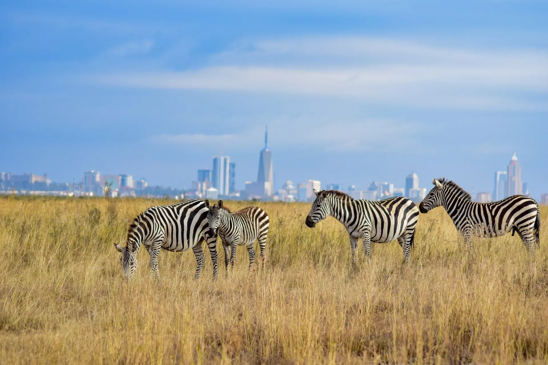 Tour of Nairobi National Park
