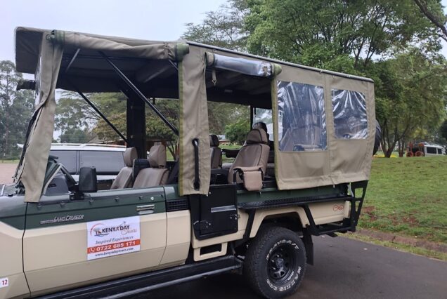 OPen jeep 4x4 to Nairobi National park