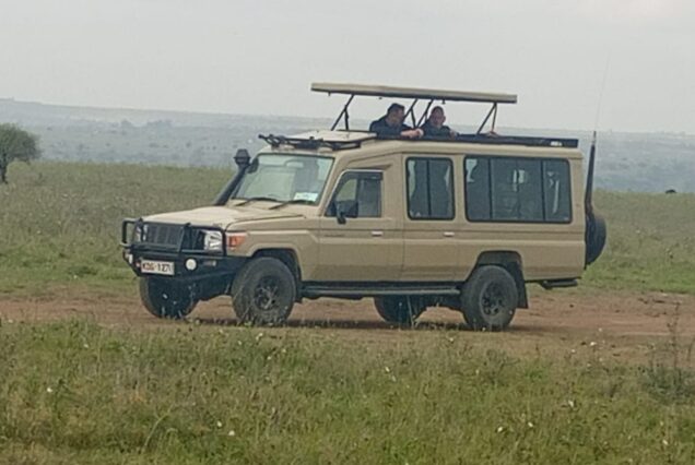 Nairobi Park layover tour safari car and driver guide