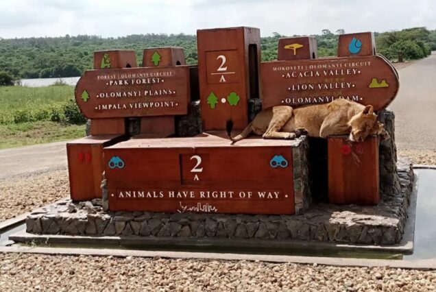Nairobi National Park tour and tickets